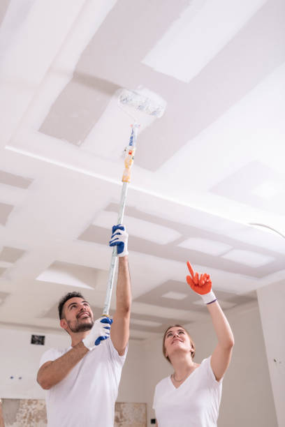 Dollar Bay, MI Mold Removal Company