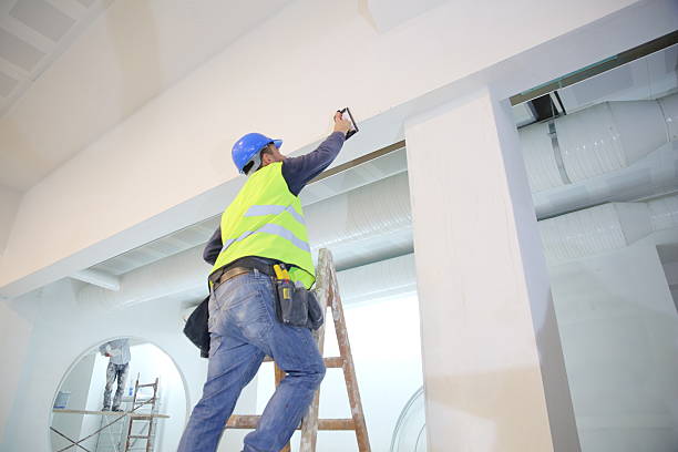  Dollar Bay, MI Mold Removal Pros