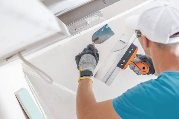 Mold Documentation for Insurance Claims in Dollar Bay, MI